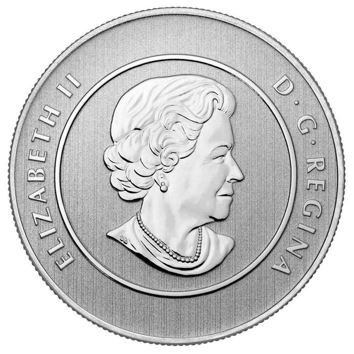 Obverse of 2013 Canada $20 silver coin with Queen Elizabeth II portrait.