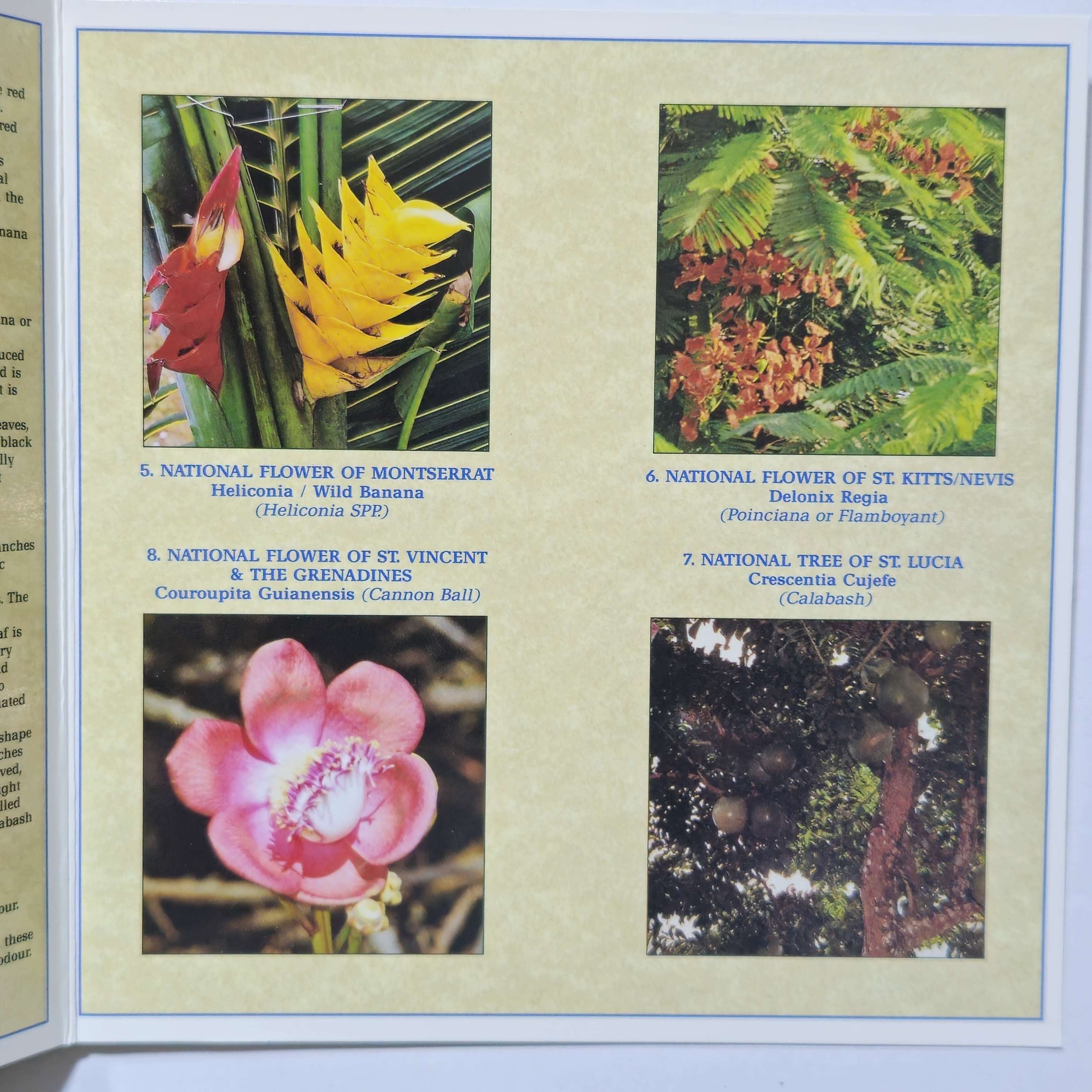 Eastern Caribbean Central Bank - Year 2000 Issue - Coins Dated 1994 - UNC Set