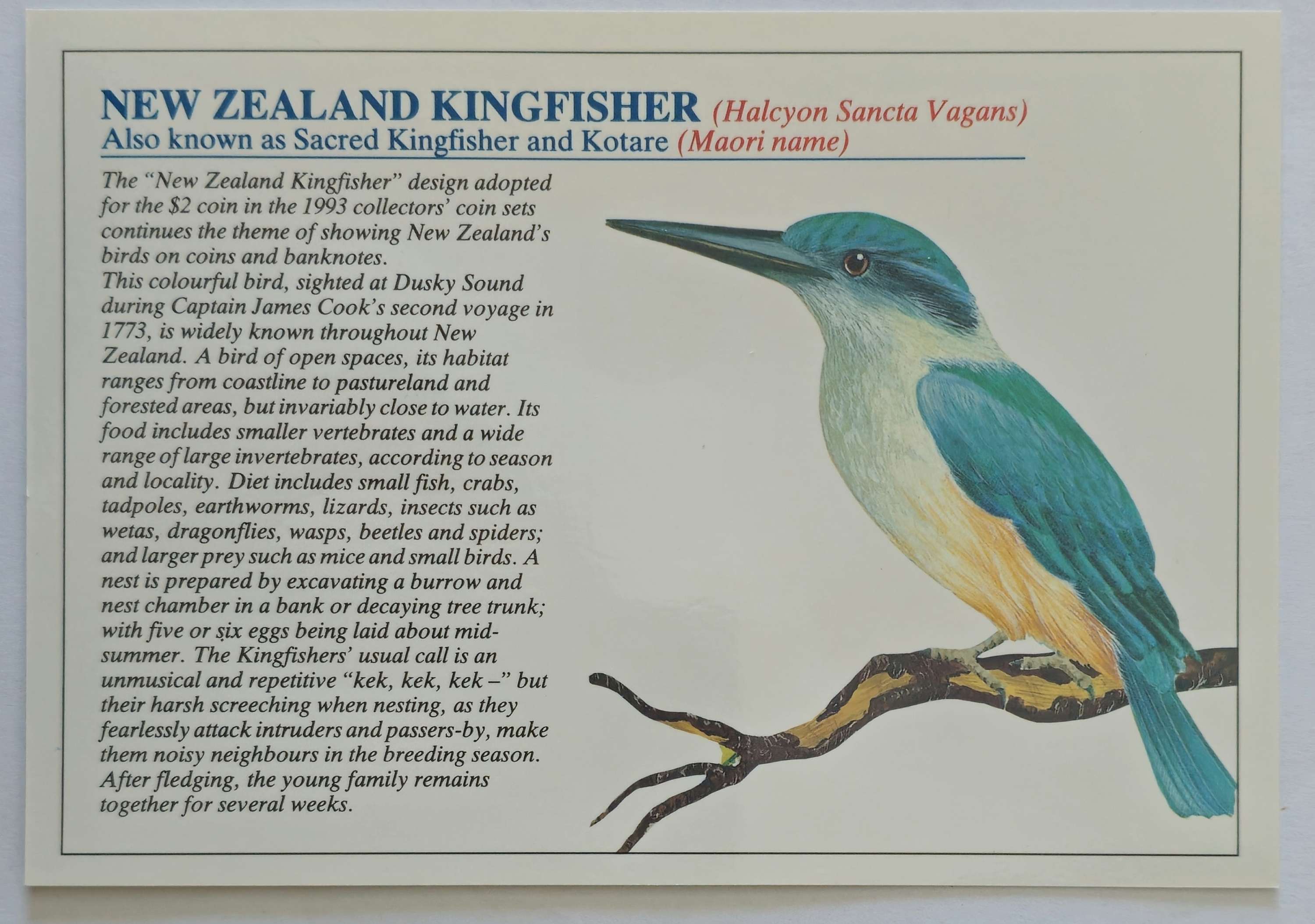 Brilliant Uncirculated coin set 1993.