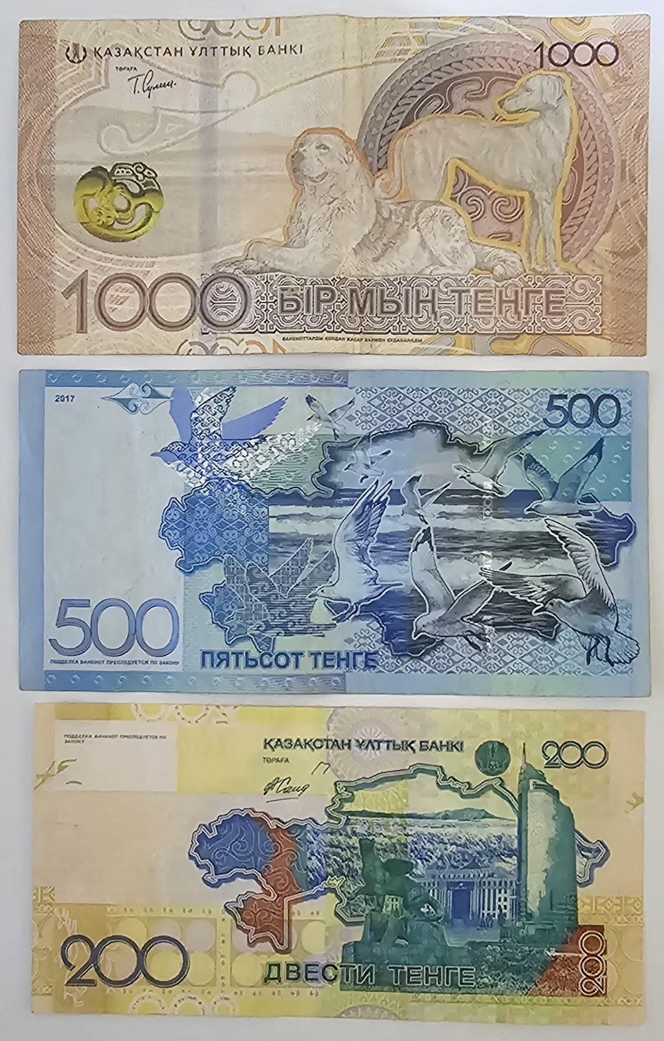 Kazakhstan tenge set - backs