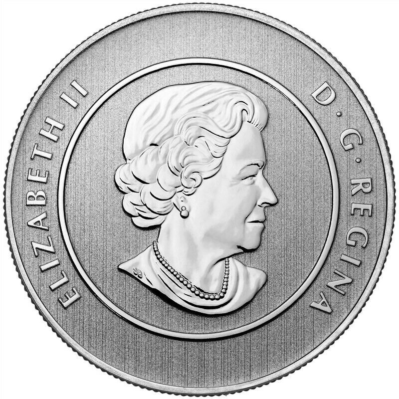 Obverse of 2014 Canada $20 silver coin featuring Queen Elizabeth II portrait.